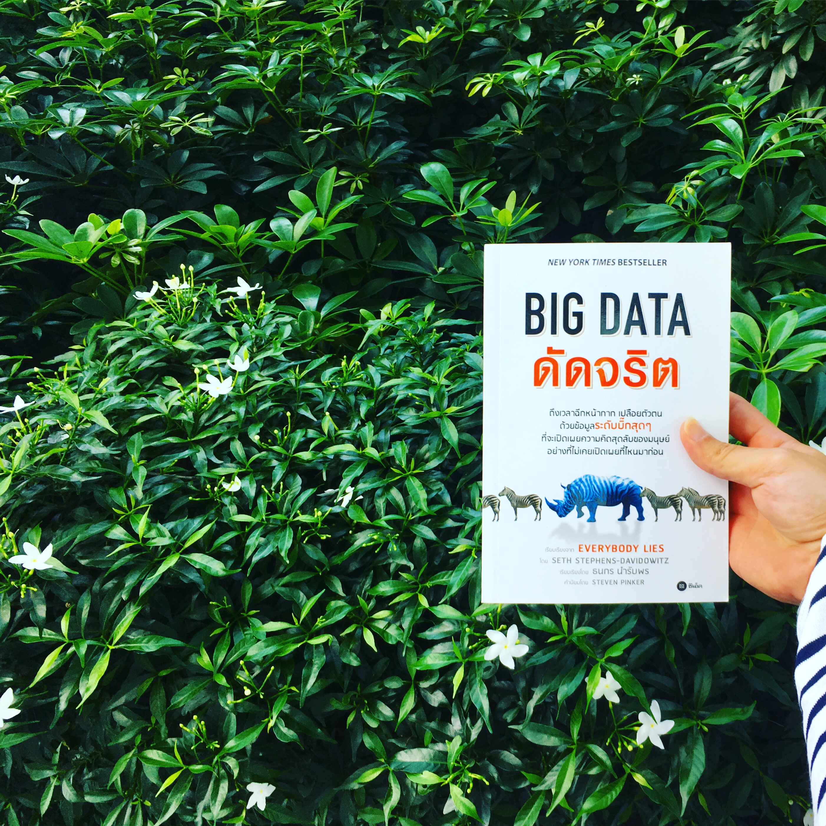 สรุปหนังสือ Big Data ดัดจริต